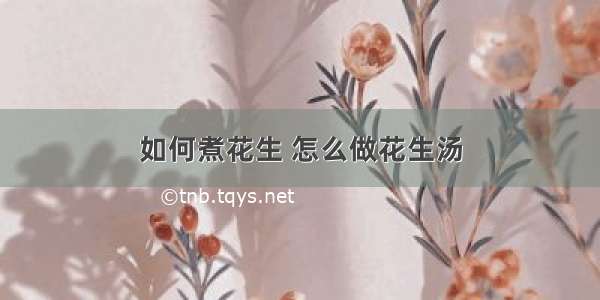 如何煮花生 怎么做花生汤