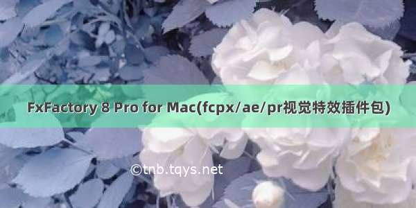 FxFactory 8 Pro for Mac(fcpx/ae/pr视觉特效插件包)