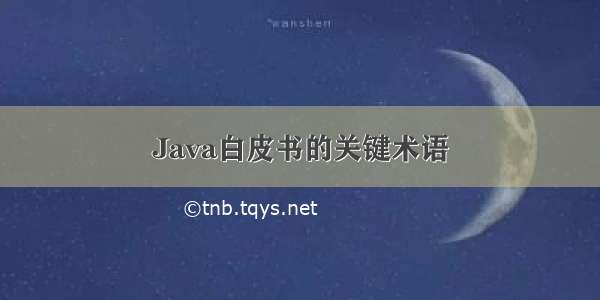 Java白皮书的关键术语