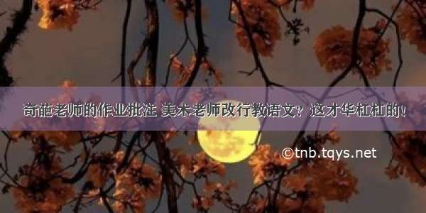 奇葩老师的作业批注 美术老师改行教语文？这才华杠杠的！