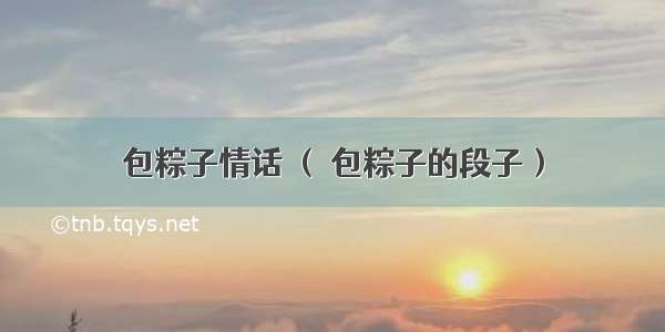 包粽子情话 （ 包粽子的段子）