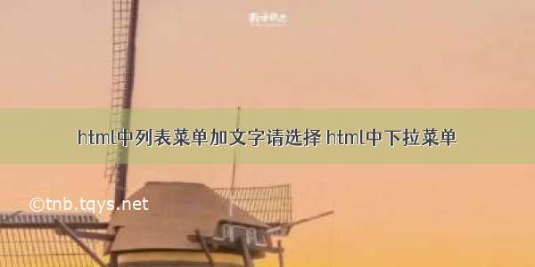 html中列表菜单加文字请选择 html中下拉菜单