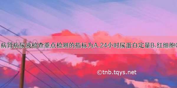 ()早期糖尿病肾病尿液检查重点检测的指标为A.24小时尿蛋白定量B.红细胞C.尿糖定量