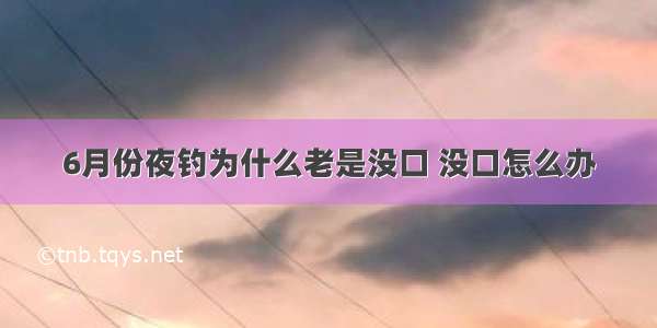 6月份夜钓为什么老是没口 没口怎么办