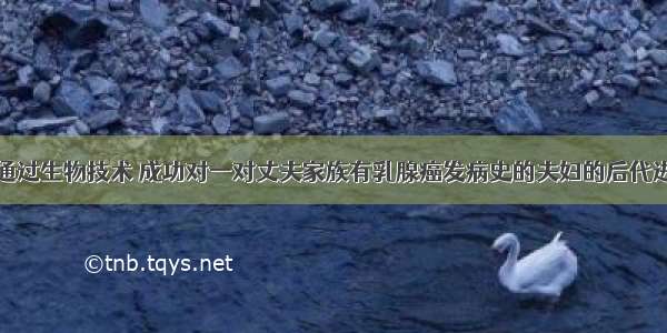 英国某医院通过生物技术 成功对一对丈夫家族有乳腺癌发病史的夫妇的后代进行胚胎筛选