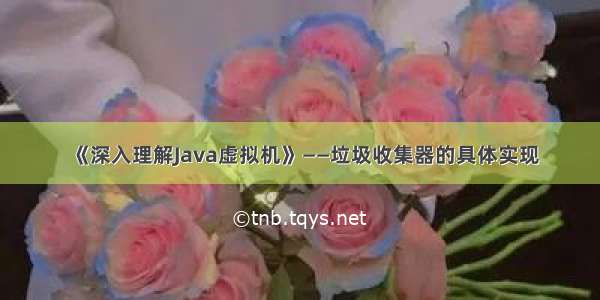 《深入理解Java虚拟机》——垃圾收集器的具体实现