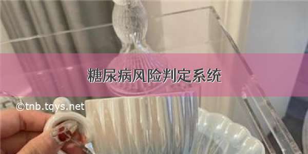 糖尿病风险判定系统