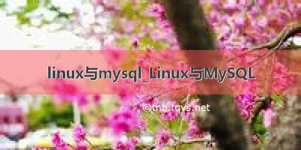 linux与mysql_Linux与MySQL