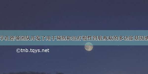 南开大学孔德领团队开发了用于预防和治疗慢性肾脏疾病的多功能基因纳米颗粒