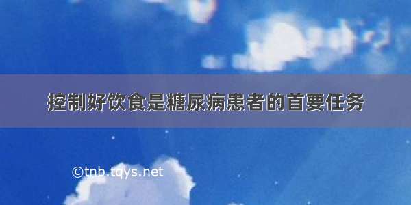 控制好饮食是糖尿病患者的首要任务