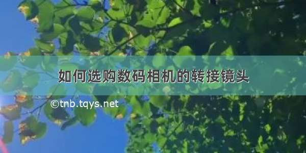 如何选购数码相机的转接镜头