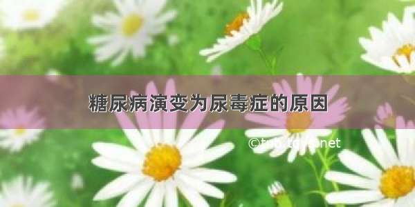 糖尿病演变为尿毒症的原因