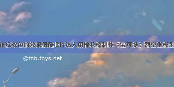 正反双色的效果很酷 DIY达人用棉花棒制作《宝可梦》烈空坐模型