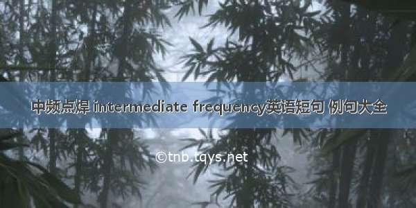 中频点焊 intermediate frequency英语短句 例句大全