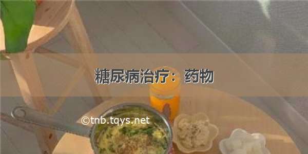 糖尿病治疗：药物