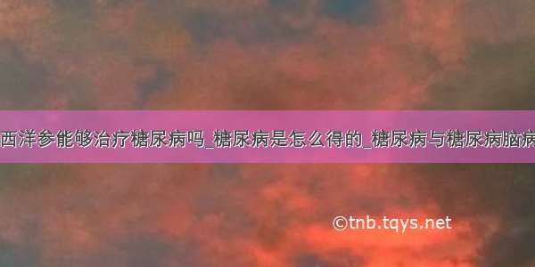 西洋参能够治疗糖尿病吗_糖尿病是怎么得的_糖尿病与糖尿病脑病