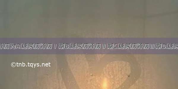 临床糖尿病肾病为A.糖尿病肾病Ⅰ期B.糖尿病肾病Ⅱ期C.糖尿病肾病Ⅲ期D.糖尿病肾病Ⅳ期