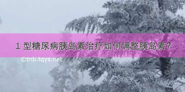 1 型糖尿病胰岛素治疗如何调整胰岛素？