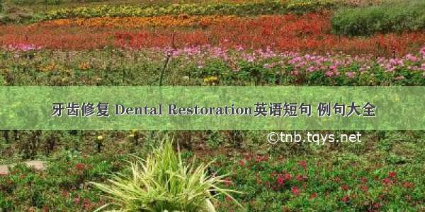 牙齿修复 Dental Restoration英语短句 例句大全