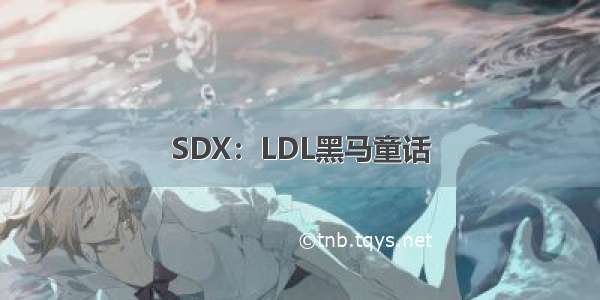 SDX：LDL黑马童话