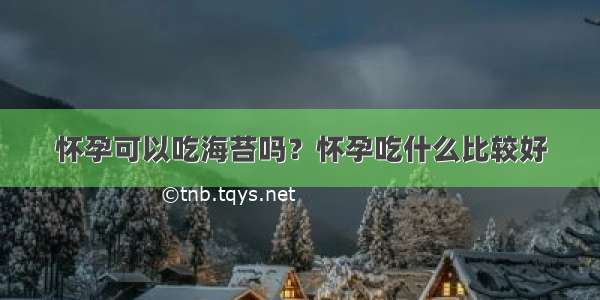 怀孕可以吃海苔吗？怀孕吃什么比较好