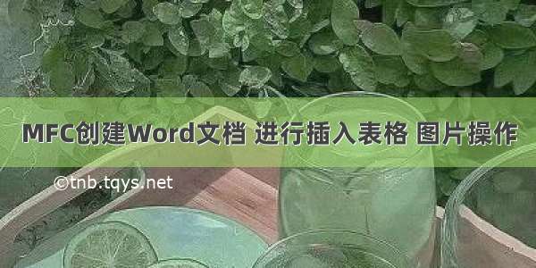 MFC创建Word文档 进行插入表格 图片操作