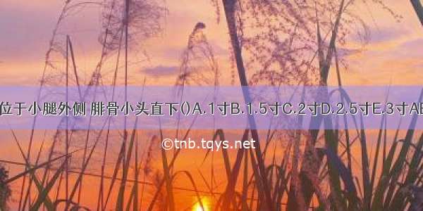 胆囊穴位于小腿外侧 腓骨小头直下()A.1寸B.1.5寸C.2寸D.2.5寸E.3寸ABCDE