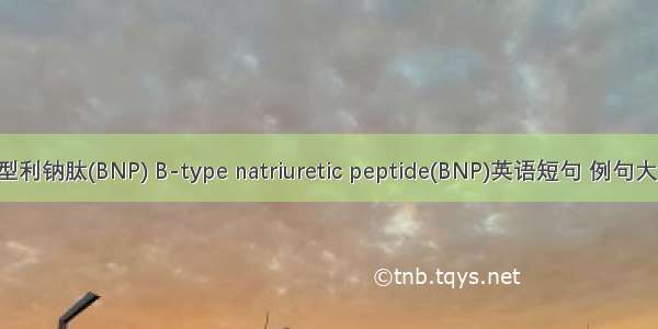 B型利钠肽(BNP) B-type natriuretic peptide(BNP)英语短句 例句大全