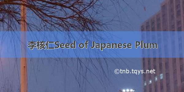 李核仁Seed of Japanese Plum