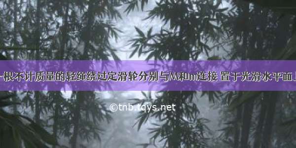 如图所示 一根不计质量的轻绳绕过定滑轮分别与M和m连接 置于光滑水平面上 木板质量