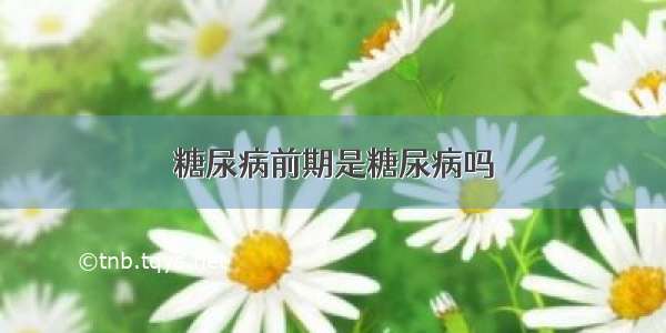 糖尿病前期是糖尿病吗