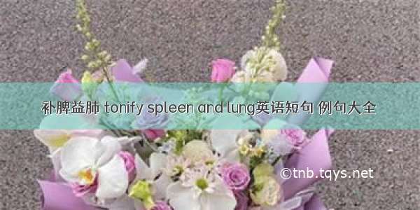 补脾益肺 tonify spleen and lung英语短句 例句大全