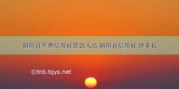 朝阳县严查信用社贷款人员 朝阳县信用社 理事长