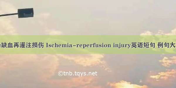 肠缺血再灌注损伤 Ischemia-reperfusion injury英语短句 例句大全