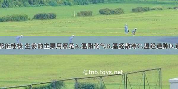 炙甘草汤中配伍桂枝 生姜的主要用意是A.温阳化气B.温经散寒C.温经通脉D.通阳复脉E.通