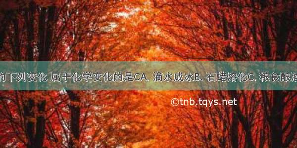 生活中发生的下列变化 属于化学变化的是CA. 滴水成冰B. 石蜡熔化C. 粮食酿酒D. 汽油挥发