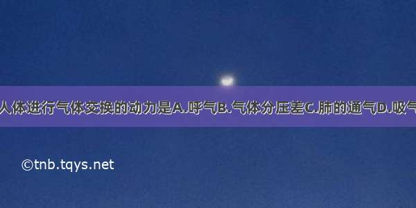 人体进行气体交换的动力是A.呼气B.气体分压差C.肺的通气D.吸气