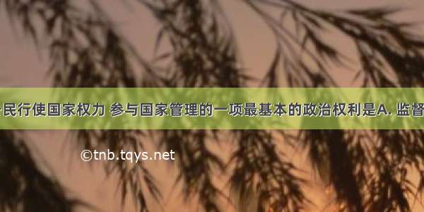 在我国 公民行使国家权力 参与国家管理的一项最基本的政治权利是A. 监督权B. 参与