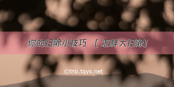 你的扫除小技巧 （ 怎样大扫除）