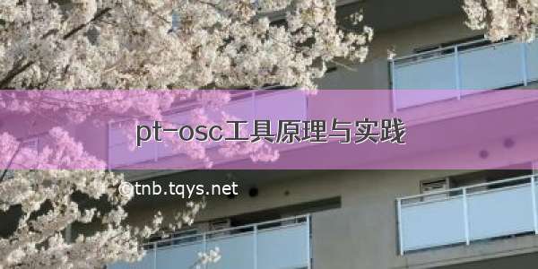 pt-osc工具原理与实践