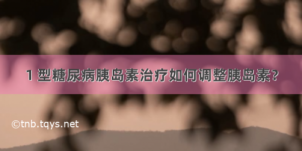 1 型糖尿病胰岛素治疗如何调整胰岛素？