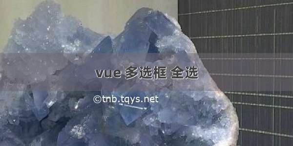 vue 多选框 全选