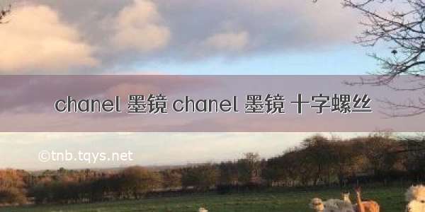 chanel 墨镜 chanel 墨镜 十字螺丝