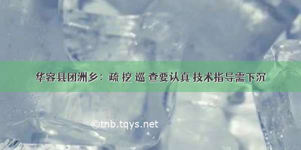 华容县团洲乡：疏 挖 巡 查要认真 技术指导需下沉