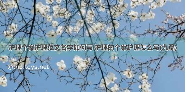 护理个案护理范文名字如何写 护理的个案护理怎么写(九篇)