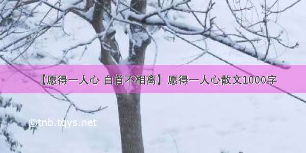 【愿得一人心 白首不相离】愿得一人心散文1000字