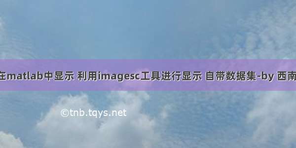 fmri的图像数据在matlab中显示 利用imagesc工具进行显示 自带数据集-by 西南大学xulei教授...