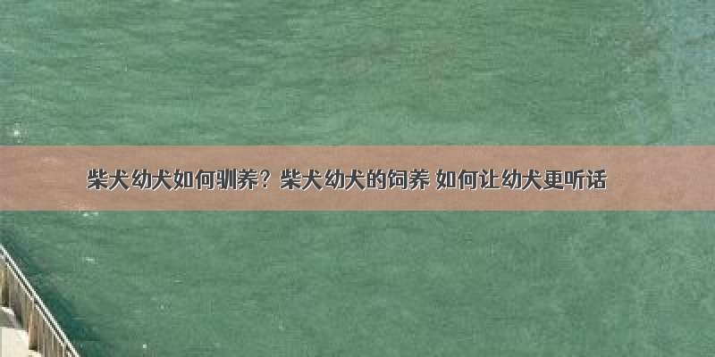 柴犬幼犬如何驯养？柴犬幼犬的饲养 如何让幼犬更听话