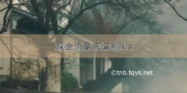 现金流量表编制.xls