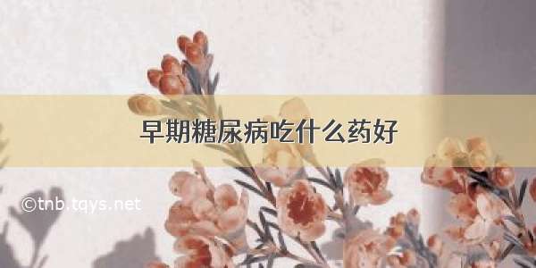 早期糖尿病吃什么药好